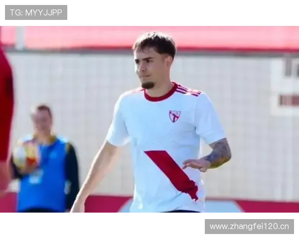 塞维利亚保级形势面临考验，当前表现波动影响西甲竞争格局